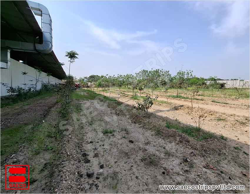 Saeco Strips Private Limited Environment Policy