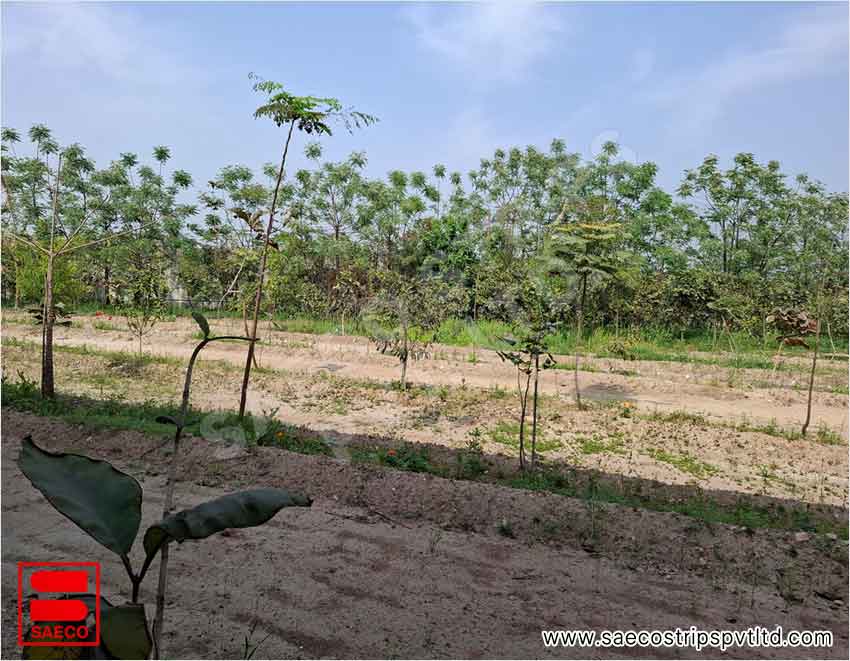 Saeco Strips Private Limited Environment Policy